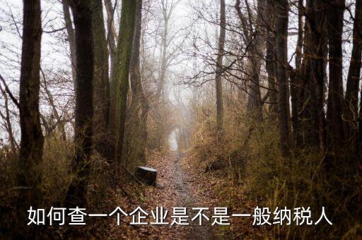 如何查是否一般納稅人，怎么確認(rèn)一家單位是不是一般納稅人