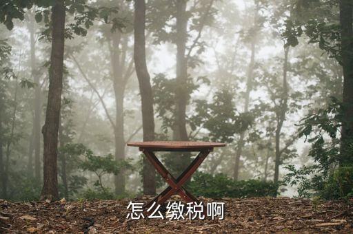 欠稅如何繳納，怎么繳稅啊