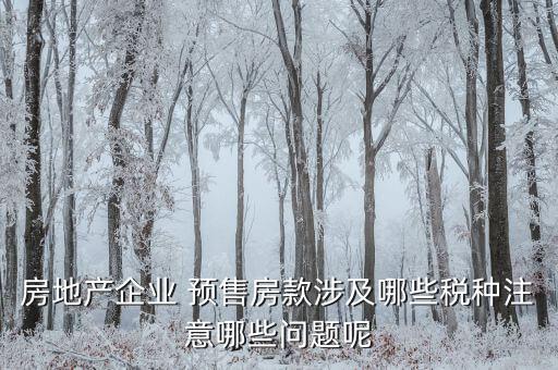 房地產企業(yè) 預售房款涉及哪些稅種注意哪些問題呢