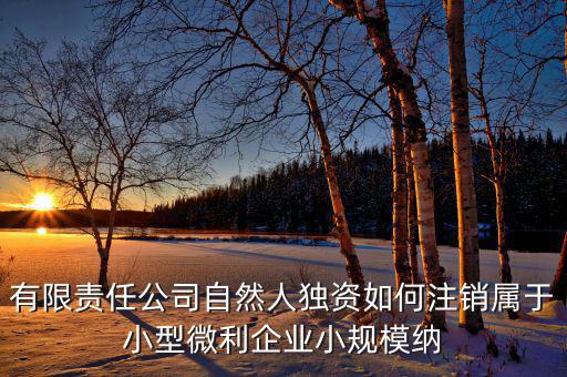 如何注銷小微企業(yè)所得稅，小微企業(yè)工商稅務(wù)注銷手續(xù)