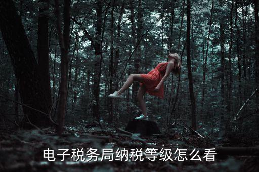 如何查詢納稅人納稅等級，電子稅務(wù)局納稅等級怎么看