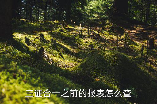 如何查三證合一之前的國稅數(shù)據，三證合一之前的報表怎么查