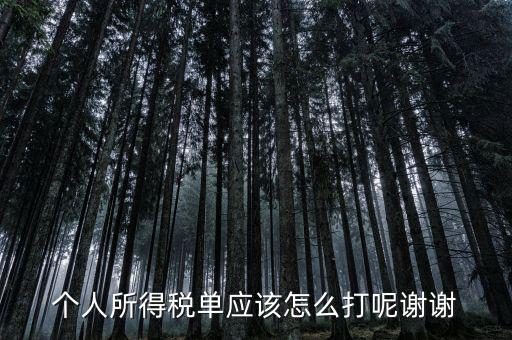 如何打印個人所得稅清單，請問如何打印個人個人所得稅繳款單據(jù)