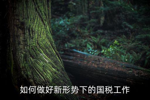 如何貫徹國(guó)稅工作會(huì)議上的講話，如何貫徹落實(shí)國(guó)稅系統(tǒng)化政府采購(gòu)工作規(guī)范