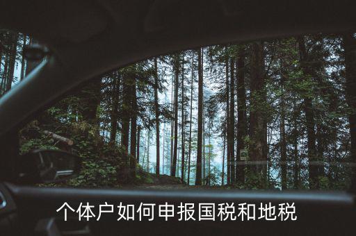 個(gè)體稅務(wù)登記地稅如何辦理，個(gè)體戶如何申報(bào)國(guó)稅和地稅