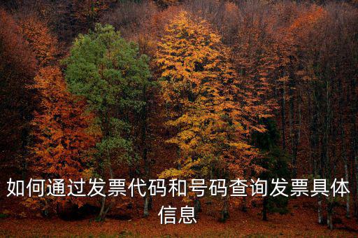 如何查詢發(fā)票詳細(xì)信息查詢，如何通過發(fā)票代碼和號(hào)碼查詢發(fā)票具體信息