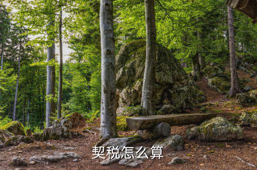 企業(yè)合并契稅如何計算，求高手解答如何計算企業(yè)應(yīng)繳納契稅并進(jìn)行契稅的會計處理