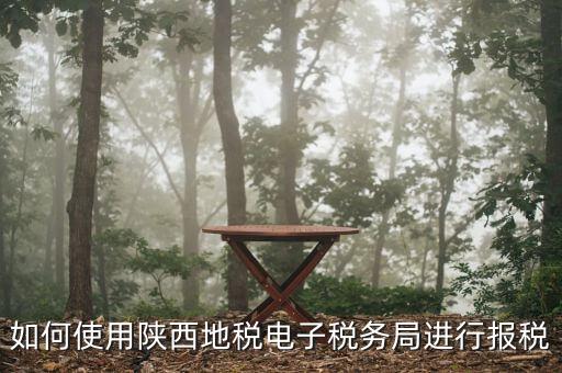 電子稅務局如何操作，如何使用陜西地稅電子稅務局進行報稅