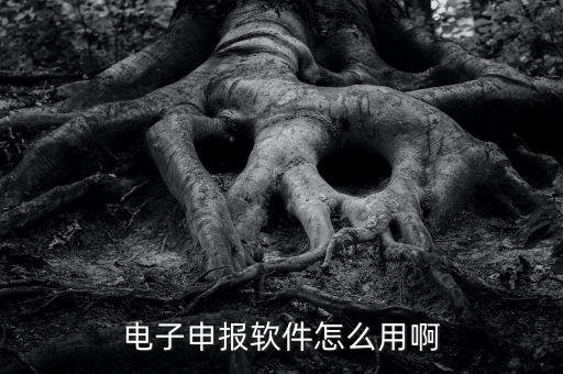濟(jì)南電子稅務(wù)如何使用，網(wǎng)上辦稅平臺手機(jī)app怎么操作