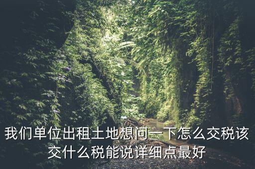 土地出租如何征稅，我們單位出租土地想問一下怎么交稅該交什么稅能說詳細點最好