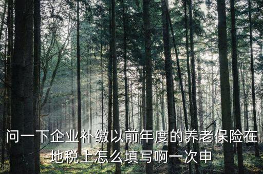 如何補打地稅社會保險費申報表，在網(wǎng)上交完社保后要怎樣補打社會保險費申報表