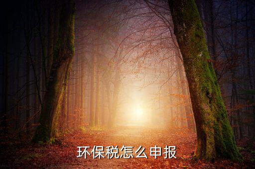 環(huán)境保護(hù)稅b類如何申報(bào)表，環(huán)保稅申報(bào)步驟是什么