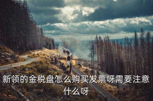 新公司如何購買金稅盤，新領(lǐng)的金稅盤怎么購買發(fā)票呀需要注意什么呀