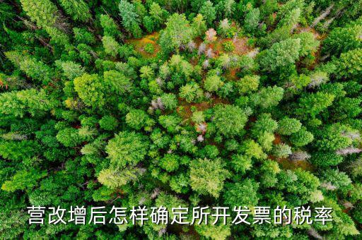 開(kāi)票時(shí)稅率如何確認(rèn)，發(fā)票的稅是怎么算的是不是數(shù)額越大要繳稅的百分比就越大比