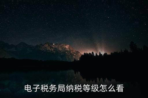a級納稅人如何查詢，電子稅務(wù)局納稅等級怎么看