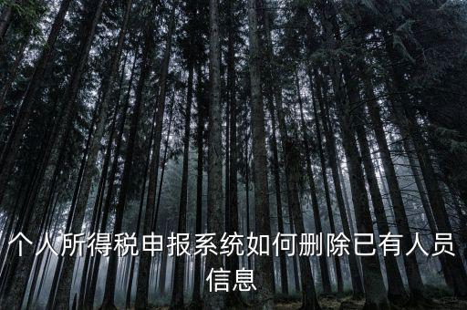 金三系統(tǒng)個稅申報人員如何刪除，如何刪掉個人所得稅人員信息