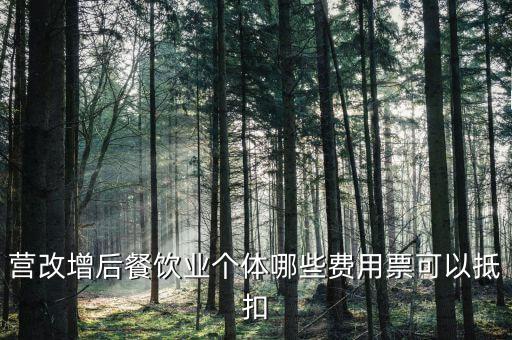 餐飲業(yè)如何抵扣，餐飲業(yè)無(wú)法向個(gè)人消費(fèi)者開(kāi)具增值稅專(zhuān)用發(fā)票那怎么抵扣進(jìn)項(xiàng)稅