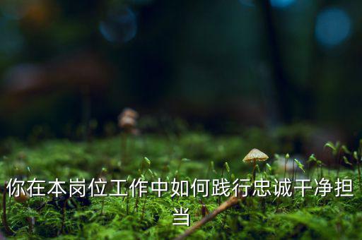 稅務(wù)干部如何講忠誠，如何做對黨忠誠個人干凈敢于的好干部