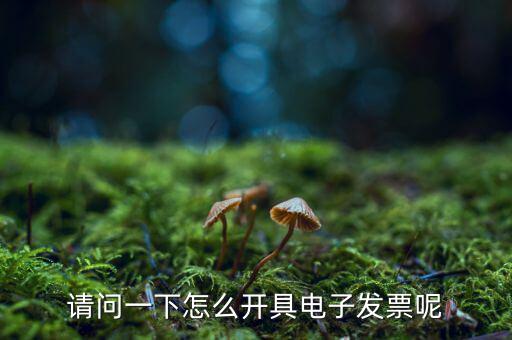 上海如何申領(lǐng)電子發(fā)票，請問一下怎么開具電子發(fā)票呢
