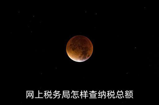 國稅局如何查稅，網(wǎng)上稅務(wù)局怎樣查納稅總額