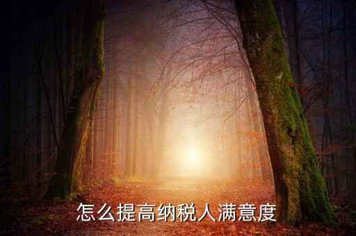 如何提升納稅人獲得感，怎么提高納稅人滿意度