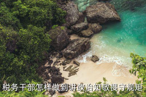 稅務(wù)機(jī)構(gòu)改革中領(lǐng)導(dǎo)干部如何講擔(dān)當(dāng)，稅務(wù)干部怎樣做到講政治知敬畏守規(guī)矩