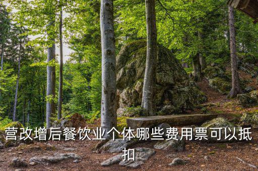 營改增后餐飲業(yè)個體哪些費(fèi)用票可以抵扣