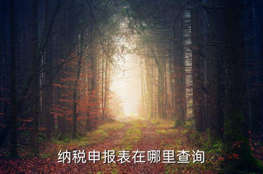 北京地稅如何查詢申報表，電子稅務局怎樣查詢以往申報表