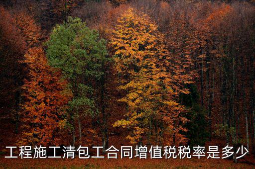 清包工 如何稅務(wù)，一般納稅人去國稅說明是清包工怎么寫說明