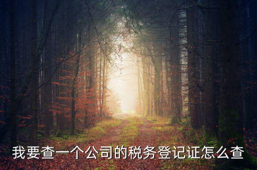 如何查企業(yè)的稅務(wù)登記證號，公司的稅務(wù)登記證號怎么查詢