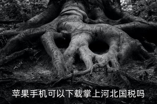 河北掌上國(guó)稅如何注冊(cè)，蘋果手機(jī)可以下載掌上河北國(guó)稅嗎