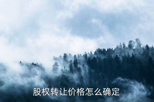 股權(quán)轉(zhuǎn)讓價款如何計算，怎樣計算股份轉(zhuǎn)讓的合理價位