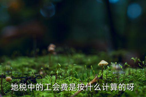 交地稅時(shí)的工會(huì)經(jīng)費(fèi)如何計(jì)算方法，地稅中的工會(huì)費(fèi)是按什么計(jì)算的呀