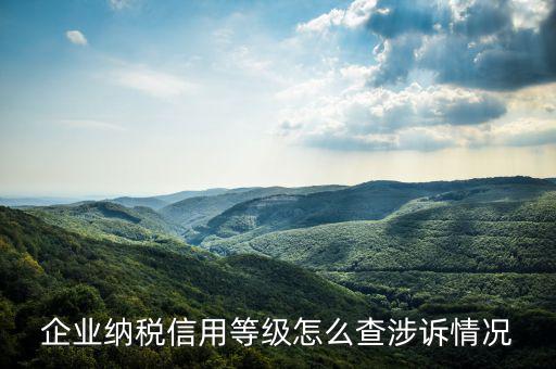 如何查詢企業(yè)納稅評級，如何查詢企業(yè)50萬 還是80萬升級一般納稅人