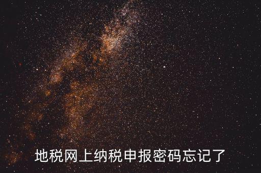 網(wǎng)報如何復(fù)制密碼，地稅網(wǎng)上納稅申報密碼忘記了
