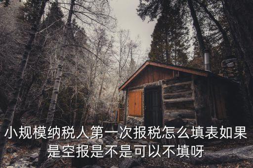 如何填寫首次辦稅補充信息表，稅務(wù)登記補充信息采集表怎么填 誰知道啊