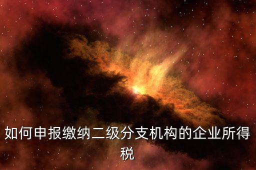 分支機(jī)構(gòu)企業(yè)所得稅如何申報(bào)，如何申報(bào)繳納二級分支機(jī)構(gòu)的企業(yè)所得稅