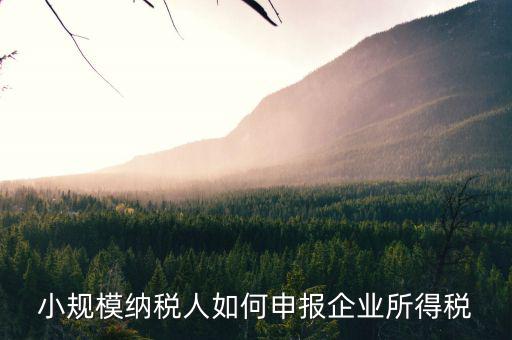 小規(guī)模納稅人企業(yè)所得稅如何申報(bào)，小規(guī)模的企業(yè)怎么報(bào)稅的
