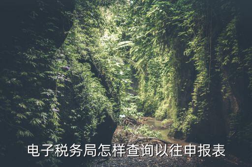 寧波地稅如何查往期申報(bào)信息，怎樣查看地稅網(wǎng)上申報(bào)記錄