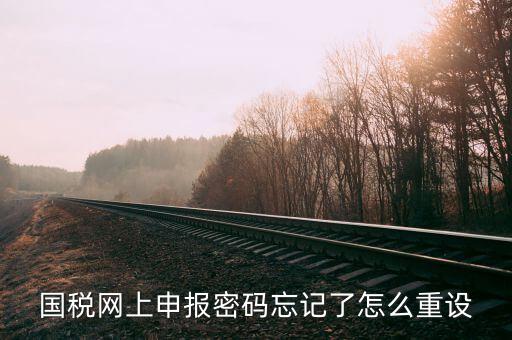 網(wǎng)上稅務局登錄密碼如何重置，國稅網(wǎng)上申報密碼忘記了怎么重設(shè)