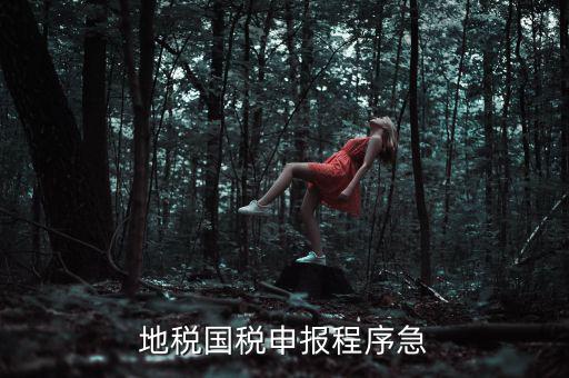 國(guó)稅地稅如何辦理流程，我想知道申報(bào)國(guó)稅地稅的流程包括前期需要什么資料期間如何