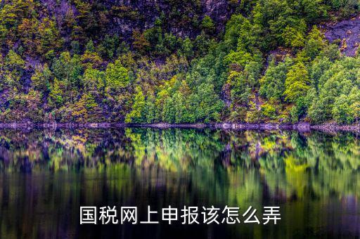 國稅網上申報該怎么弄