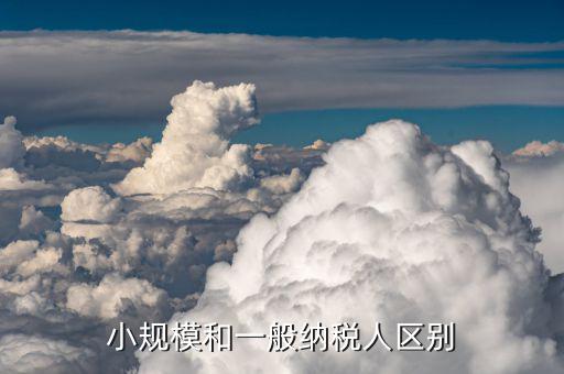 一般納稅人和小規(guī)模納稅人如何區(qū)分，小規(guī)模和一般納稅人的區(qū)別是什么