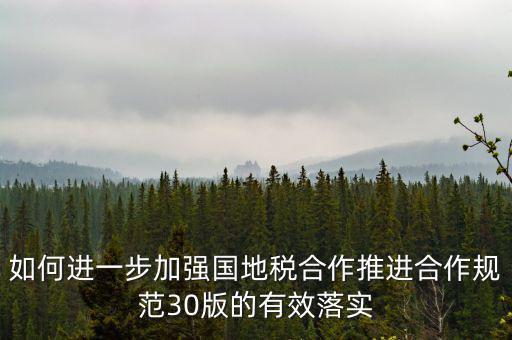 2018年國(guó)地稅合作大廳如何工作，地稅信息中心具體做些什么工作