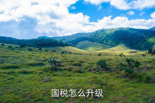 國稅系統(tǒng)如何適應(yīng)新時代，如何做好新形勢下的國稅工作