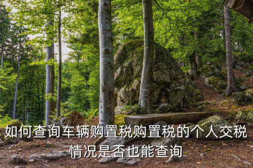 如何查汽車購置稅，我想查查我的車輛購置稅是多少怎么查