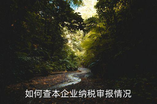 如何查詢企業(yè)稅務(wù)申報，如何查本企業(yè)納稅審報情況