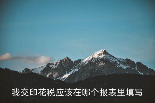 網(wǎng)上印花稅表如何填寫(xiě)，印花稅申報(bào)報(bào)表要怎么填啊