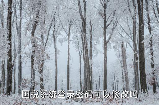如何修改納稅申報密碼，金稅三期怎樣修改報稅密碼