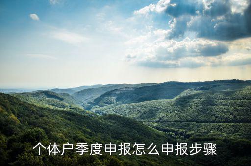 個體戶如何季度申報表，個體戶每個季度怎樣報稅